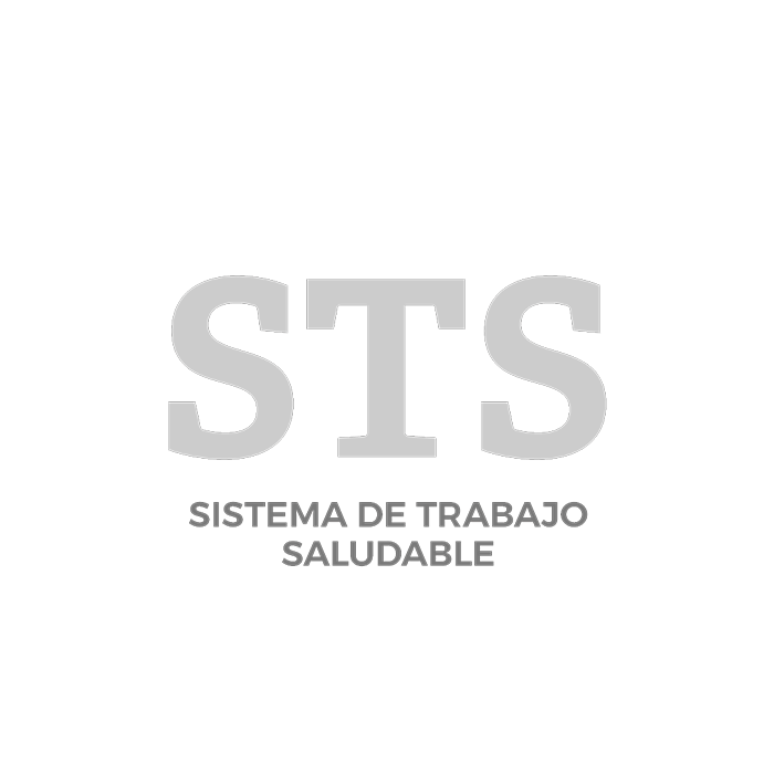 logo sistema de trabajo saludable